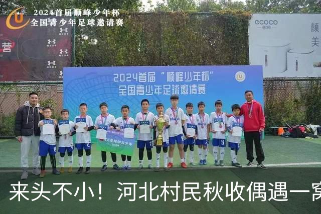 来头不小!河北村民秋收偶遇一窝幼崽,身份不简单,立马让地停收
