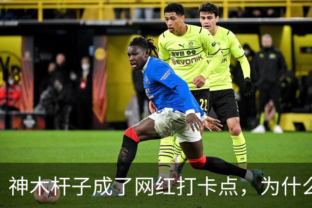 神木杆子成了网红打卡点,为什么要围起来?
