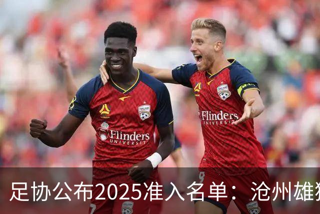足协公布2025准入名单：沧州雄狮、广州队无缘